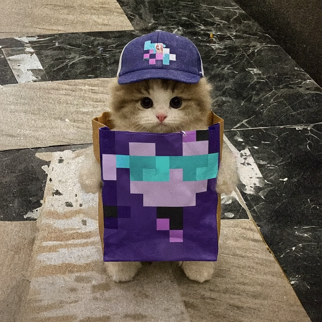 Bag Meme 6